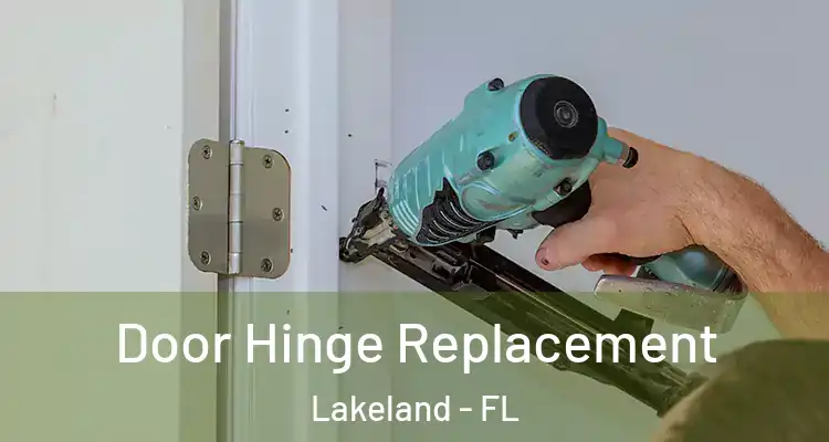  Door Hinge Replacement Lakeland - FL