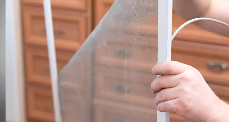 Privacy Mesh Screen Door Installation in Lakeland, FL